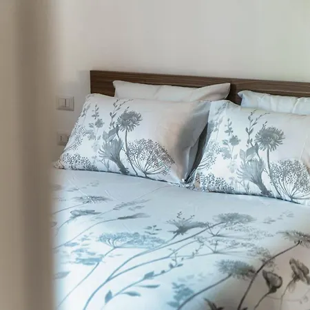 S.m. Downtown צ'רנוביו