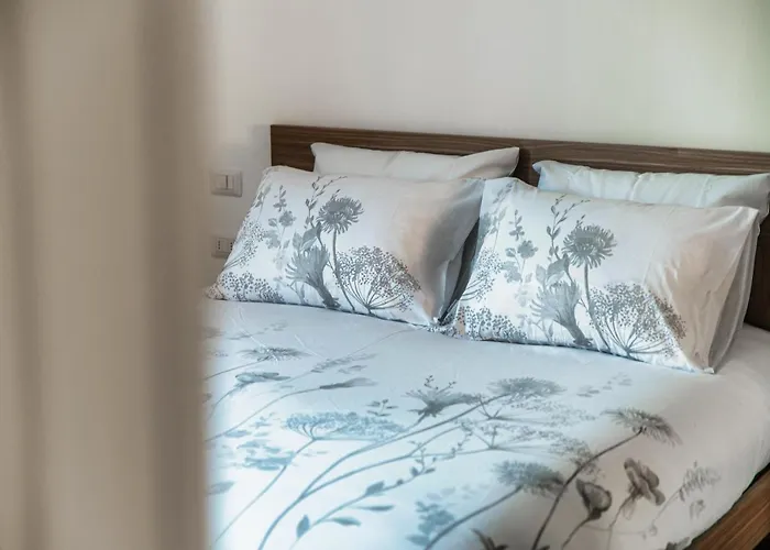 S.m. Downtown צ'רנוביו